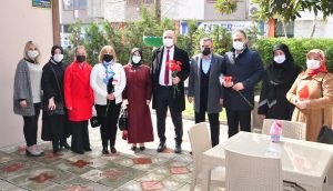 Çalışan kadınlar için karanfil