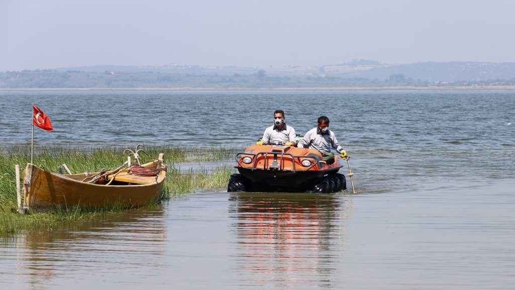 Sinekle mücadele hız kesmiyor