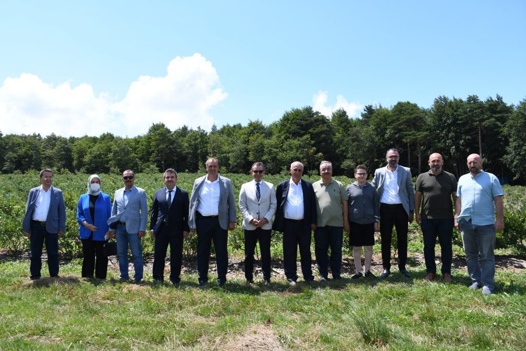 Yaban mersini hasadı festival ile taçlandı