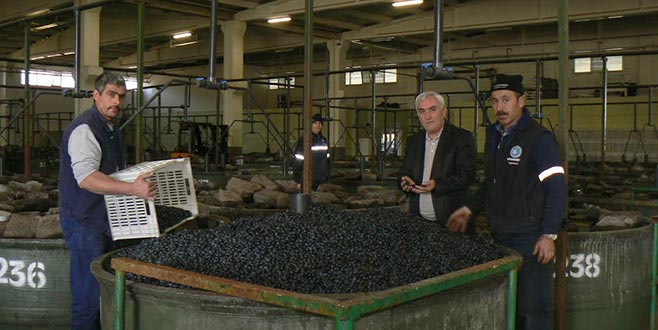 Marmarabirlik’ten üreticiye çağrı
