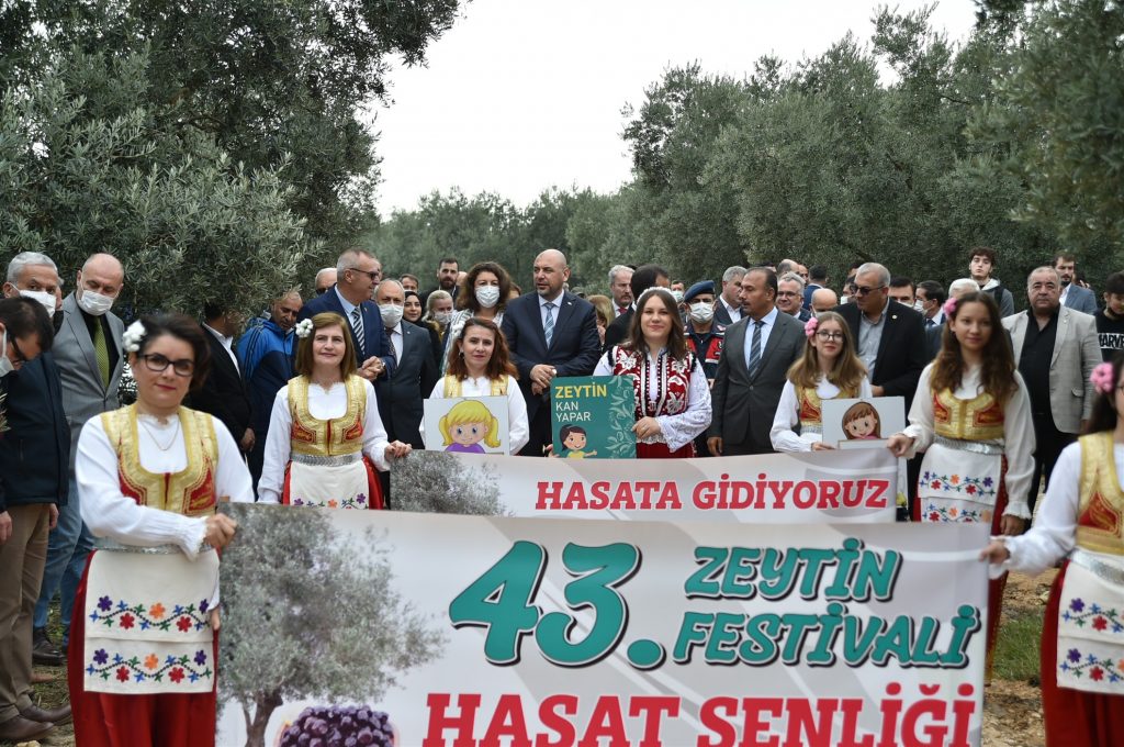 43. Zeytin Festivali, Hasat Şenliği ile renklendi