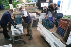 Marmarabirlik’te ikinci ödemeler başlıyor