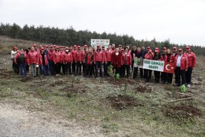 Coca-Cola Hatıra Ormanları’nda 50 Bin Fidan Yeşerecek