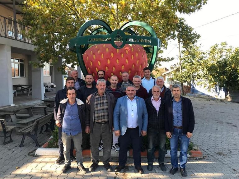 Mahmudiye Tarımsal Kalkınma Kooperatifi kuruldu