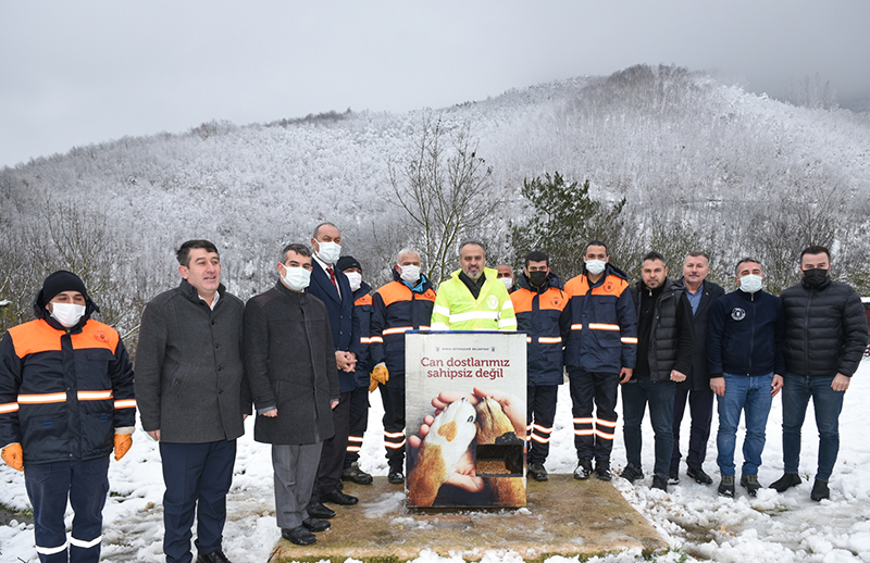 Sokak hayvanları Bursa’da sahipsiz değil
