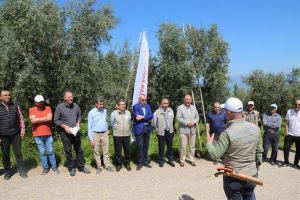 Zeytinciye uygulamalı budama eğitimi