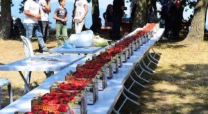 Çilek festivali 12 Haziranda