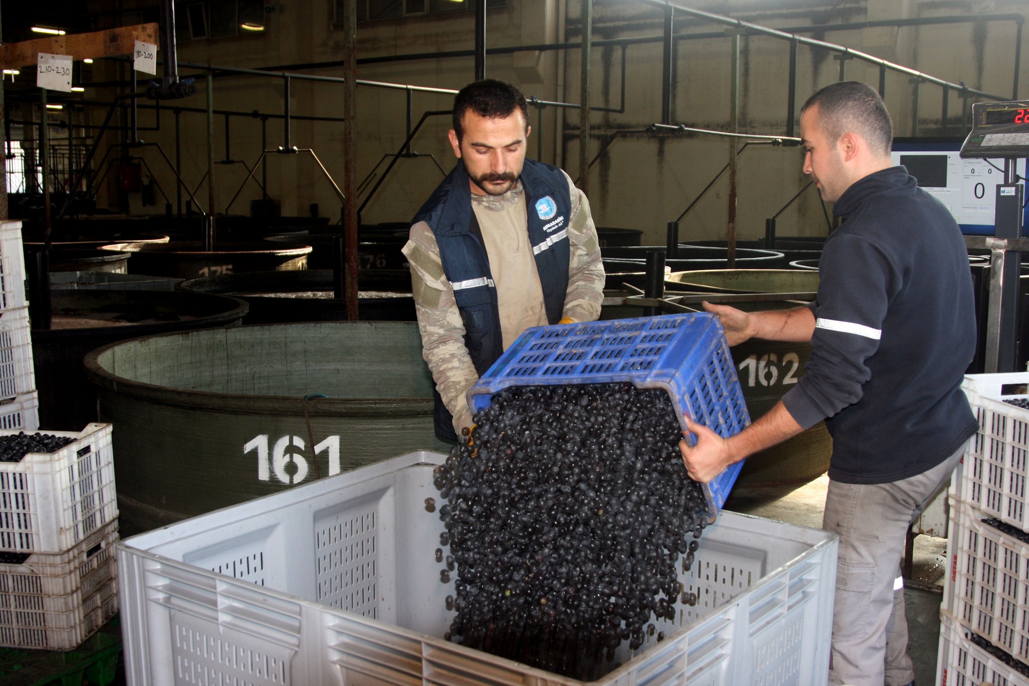 Üreticiye toplamda 20 milyon liralık ödeme