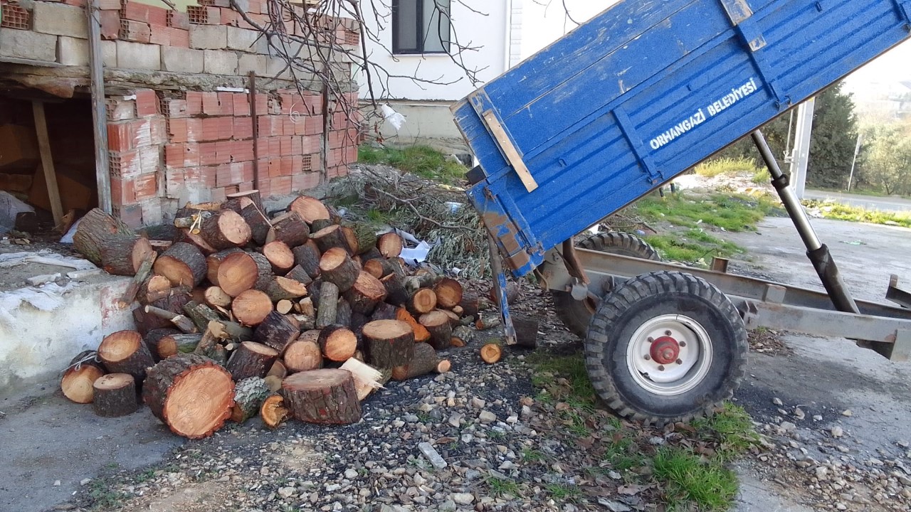 Budanan ağaç dalları ihtiyaç sahiplerine dağıtılıyor