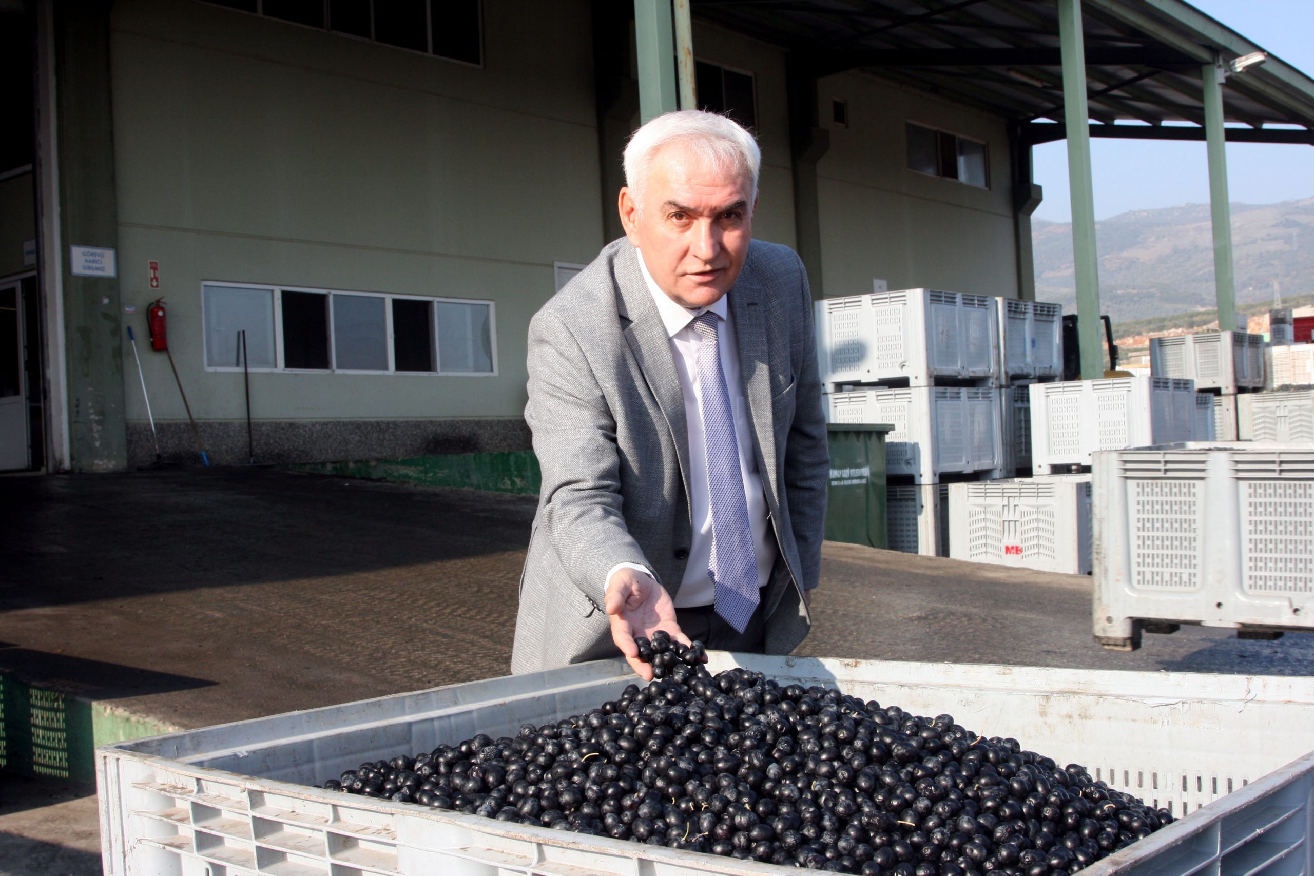 Marmarabirlik’ten deprem bölgesine 5 ton zeytin