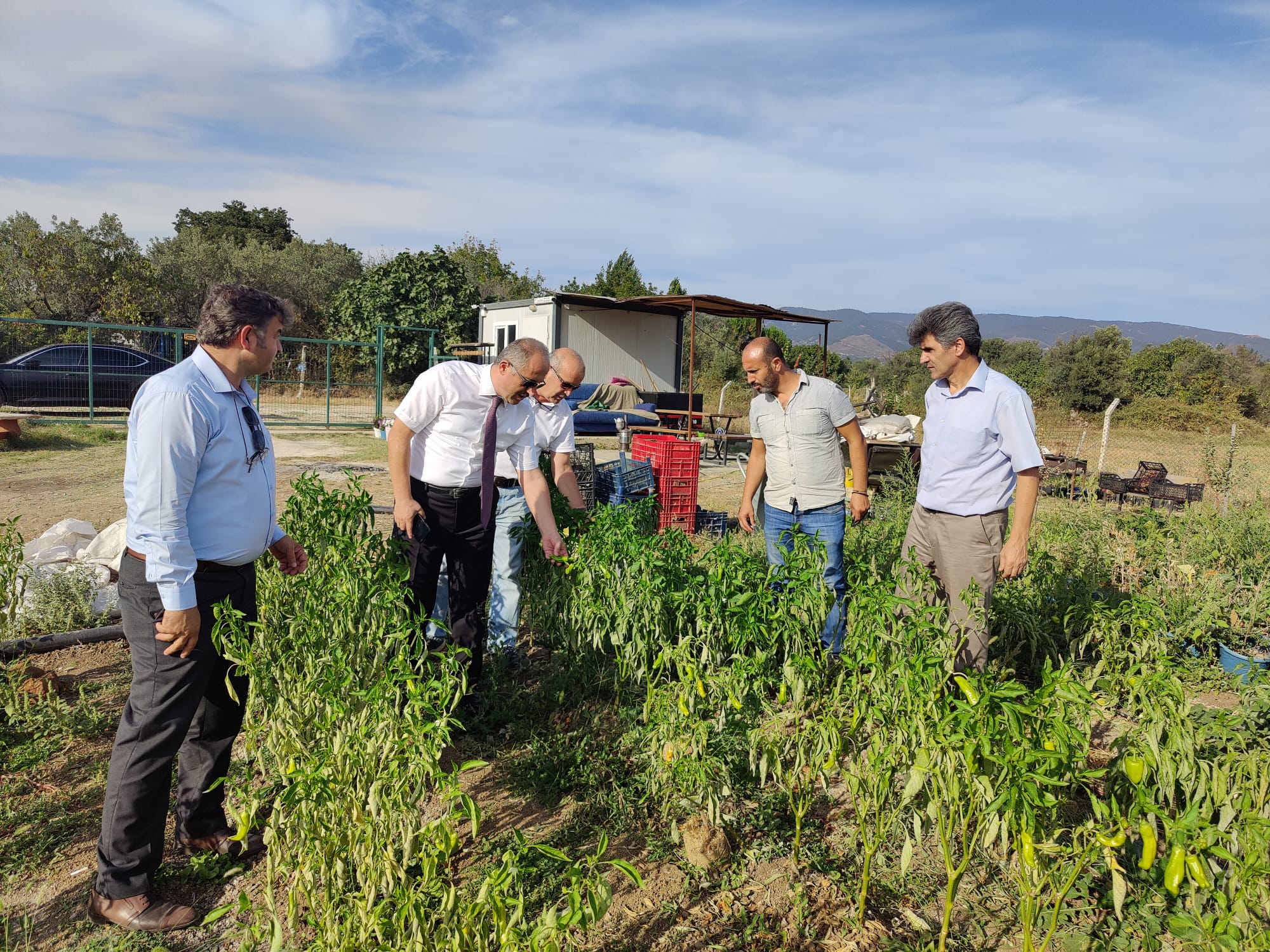 Kaymakam Karamehmetoğlu “engelsiz tarım”ı inceledi