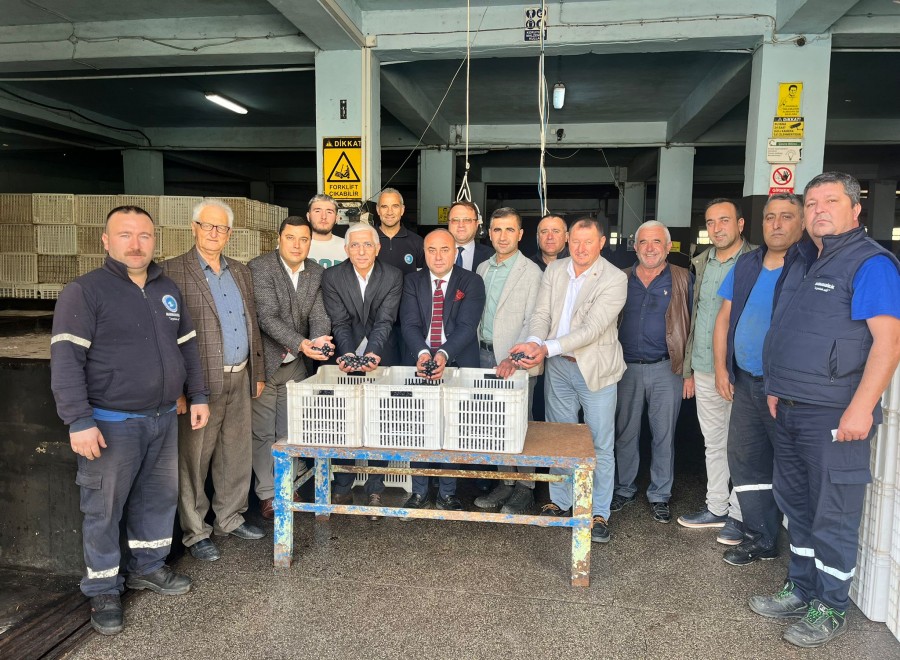 Marmarabirlik’ten üreticiye 137 milyon TL’lik ödeme