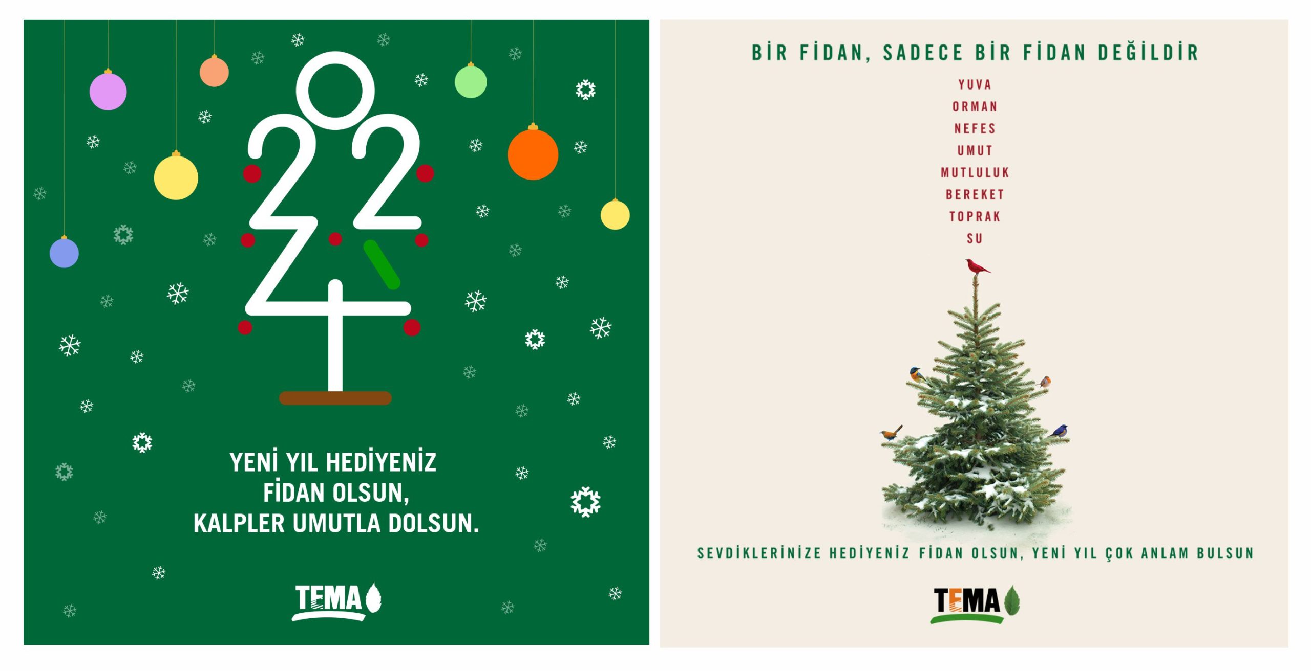 TEMA Vakfı’ndan yeni yılda fidan bağışı çağrısı