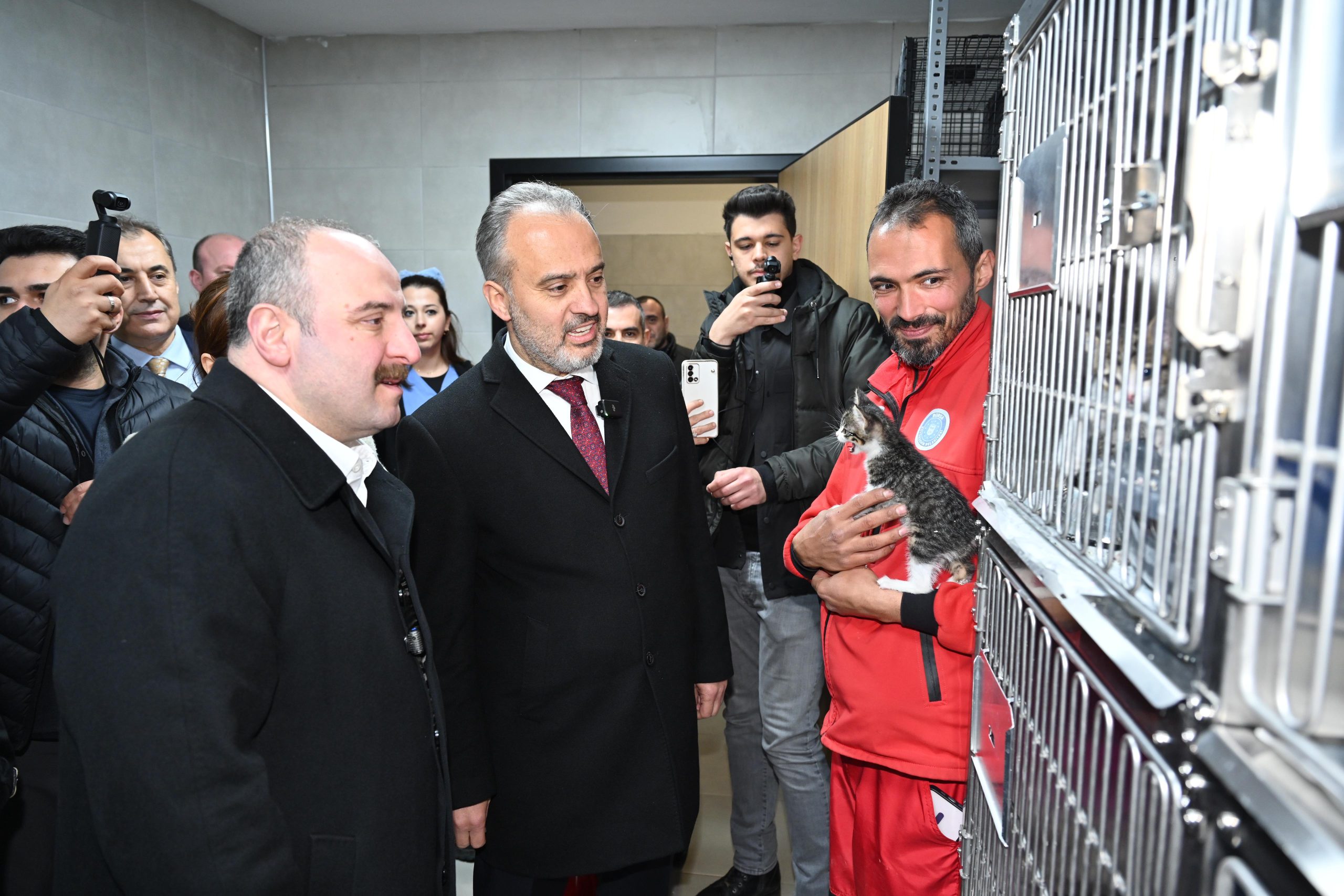 Can dostlara modern yeni yuva