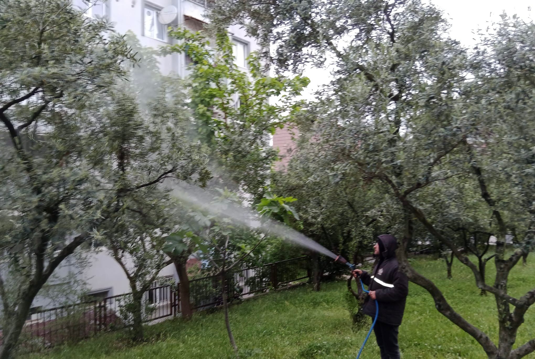 Belediyeden bahar ilaçlaması