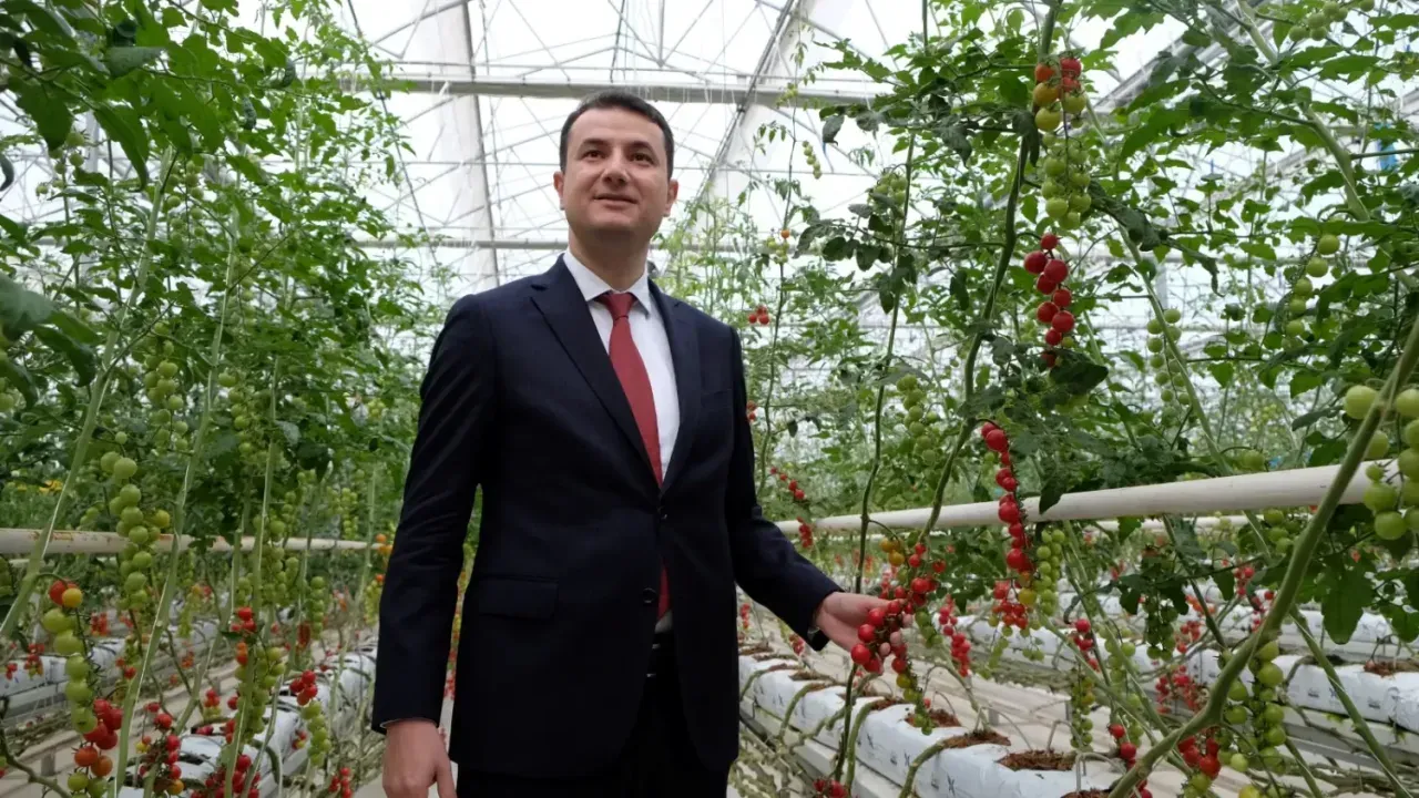 Hektaş, yerli ve milli tohum geliştirme çalışmalarında önemli adımlar atıyor