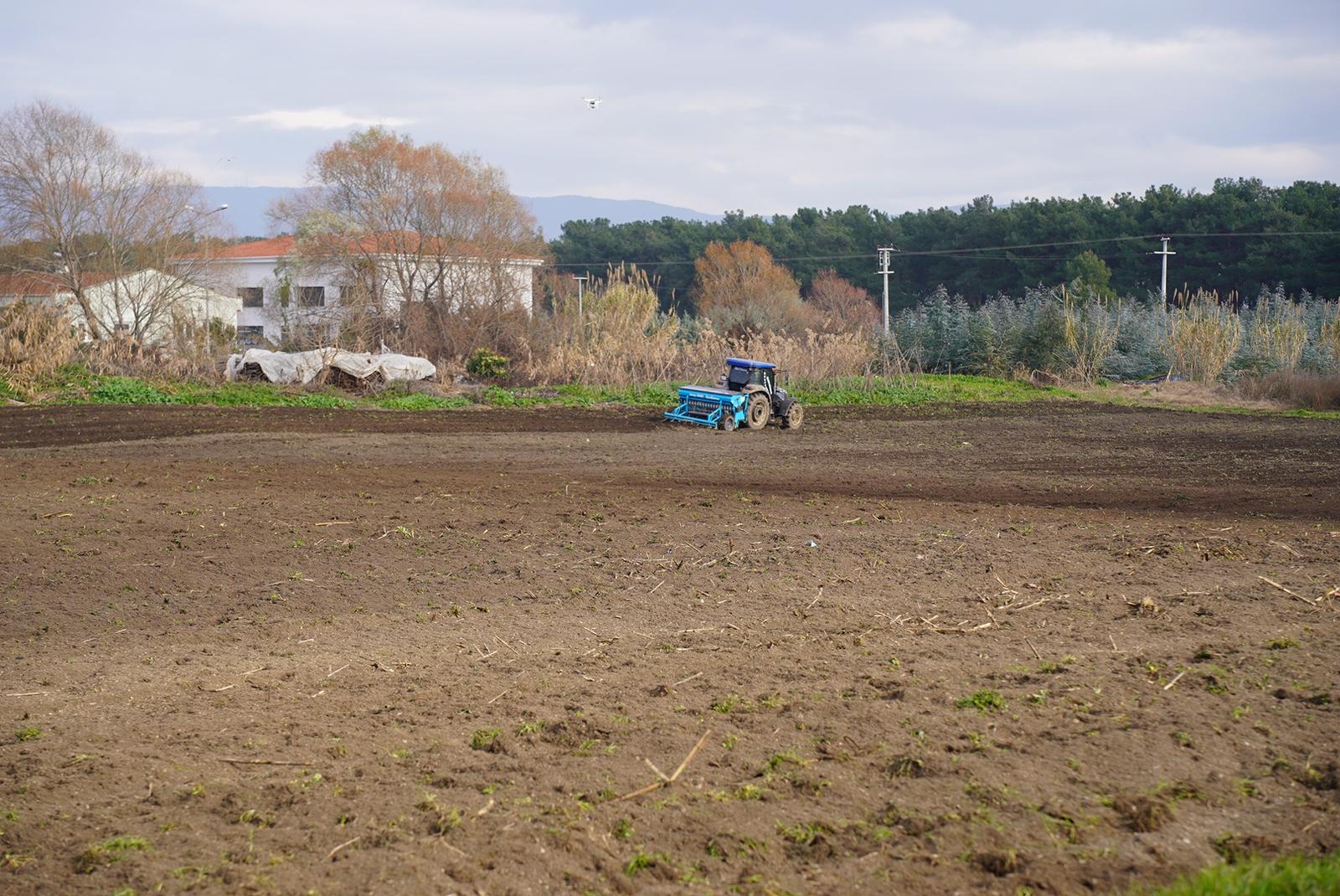 Buğday tohumları toprakla buluştu