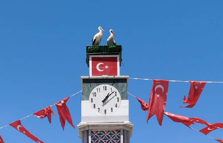 Can ve Canan Geri Döndü