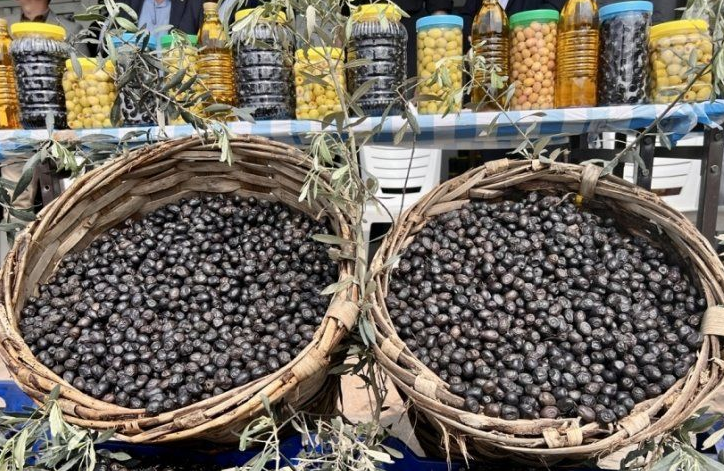 Marmarabirlik’ten Beşinci Dilim Ödemeleri 19 Aralık’ta