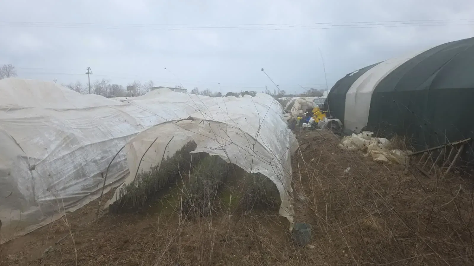 Fırtına Sonrası Çiftçilere Hasar Tespit Uyarısı